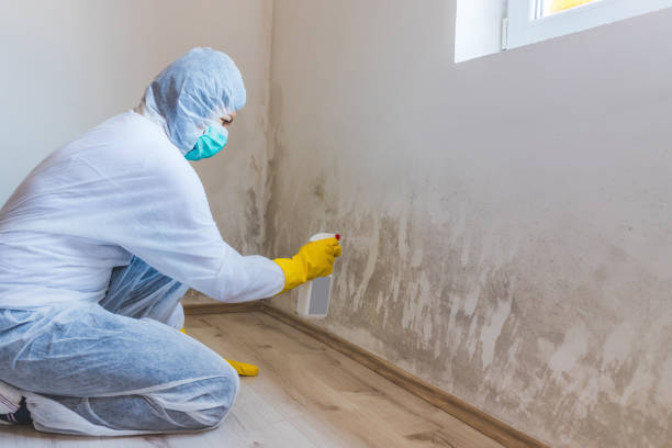 Licensed Commercial Mold Remediation service in Delaplane, VA - WQB Mold Removal