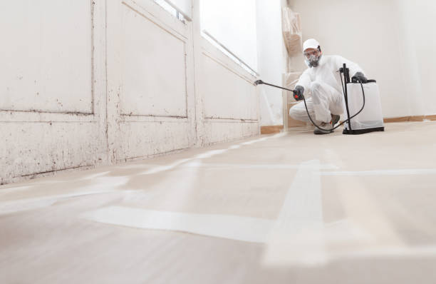 Trusted Commercial Mold Remediation service in Delaplane, VA - WQB Mold Removal