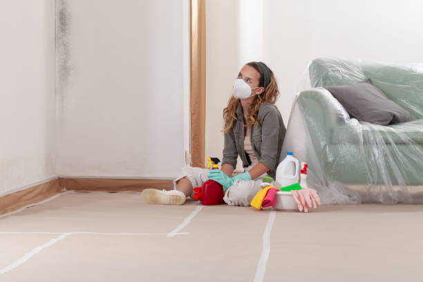 Reliable Commercial Mold Remediation contractor in Delaplane, VA by WQB Mold Removal